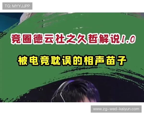 电竞解说的风格：专业分析与幽默风趣，关于电竞解说的介绍