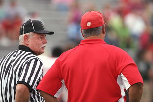 开云体育入口-意甲裁判语义分析辅助判罚准确性的应用探讨，意甲 裁判