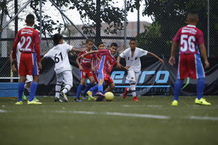 开云体育app下载-中国足球青训成果展示会在多地举办，中国足球青训比赛